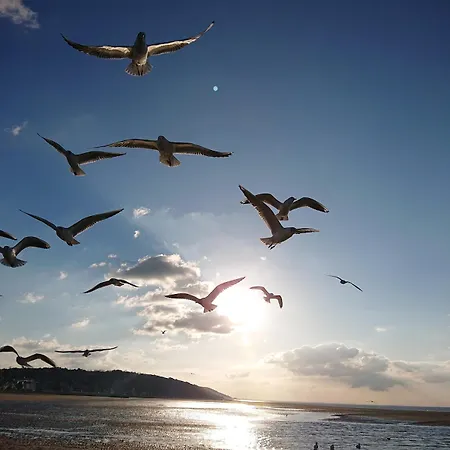 Les Pieds dans le Sable * Villers-sur-Mer
